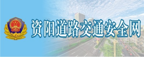 日美女的BB资阳道路交通安全网